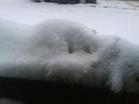 dsc00335.JPG