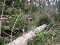 dscn0891.jpg