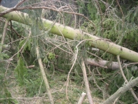 dscn0892.jpg