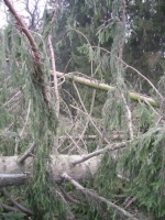 dscn0895.jpg
